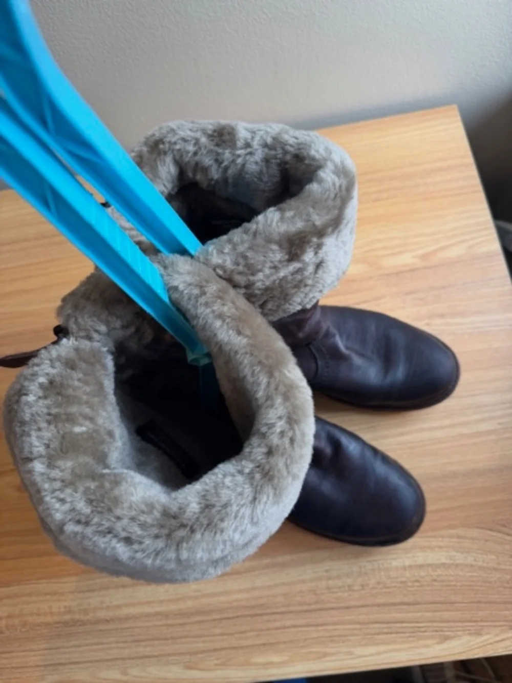 Frye Valerie Sherling boots